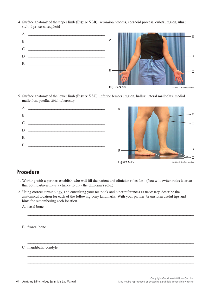 Anatomy & Physiology Essentials 2e, Laboratory Manual page 64