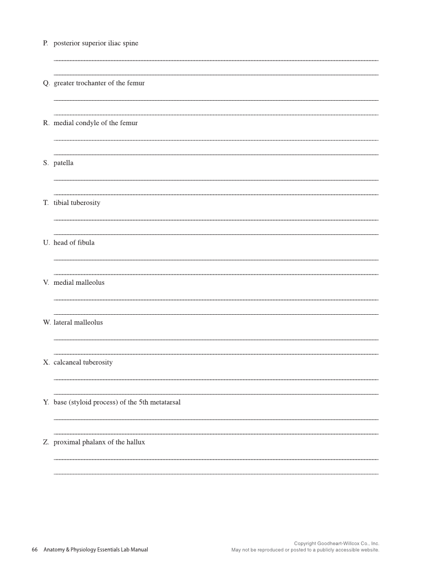 Anatomy & Physiology Essentials 2e, Laboratory Manual page 66