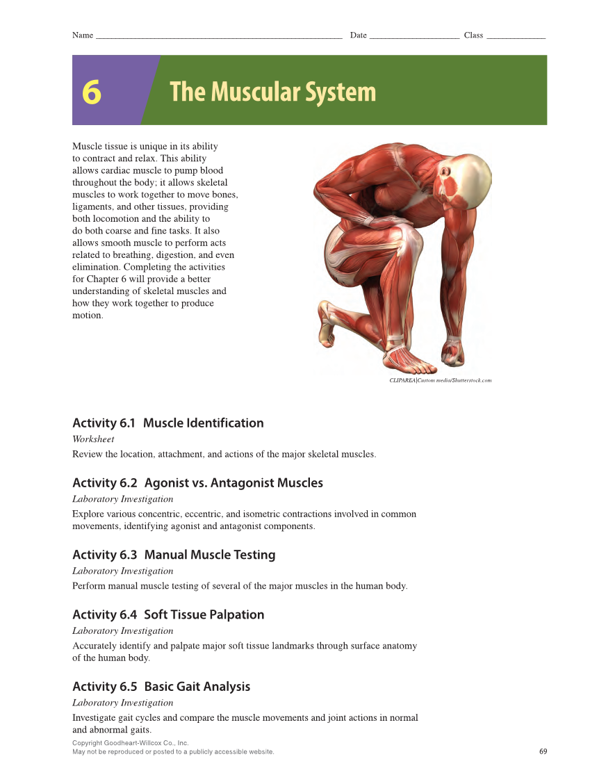 Anatomy & Physiology Essentials 2e, Laboratory Manual page 69