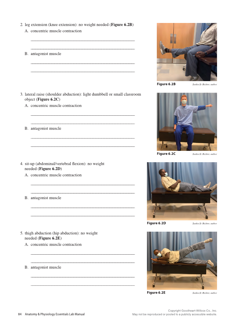 Anatomy & Physiology Essentials 2e, Laboratory Manual page 84
