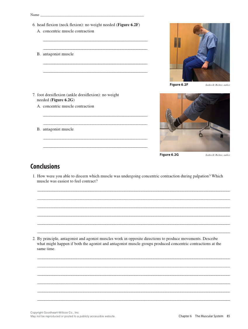 Anatomy & Physiology Essentials 2e, Laboratory Manual page 85