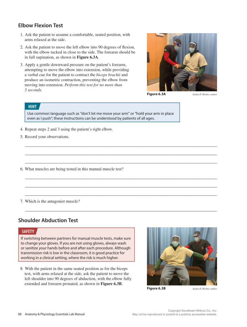 Anatomy & Physiology Essentials 2e, Laboratory Manual page 88