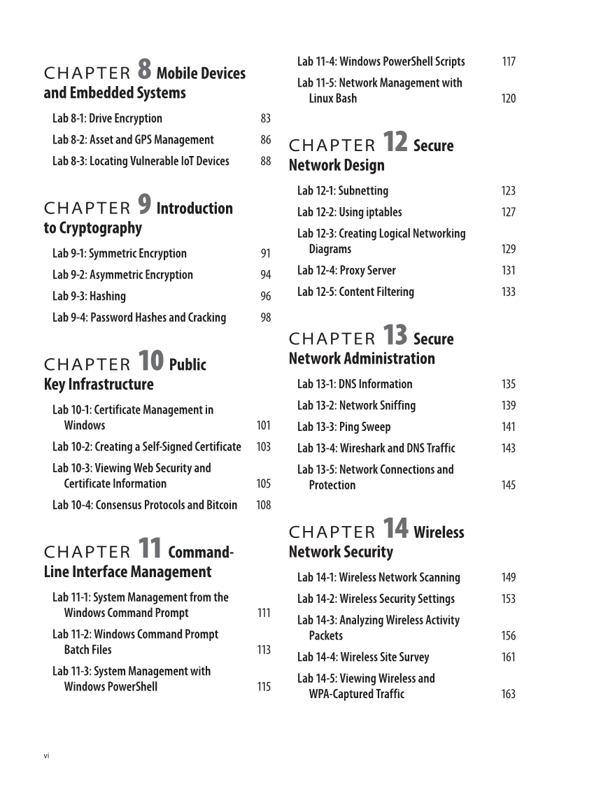 Security Essentials, Lab Manual page vi
