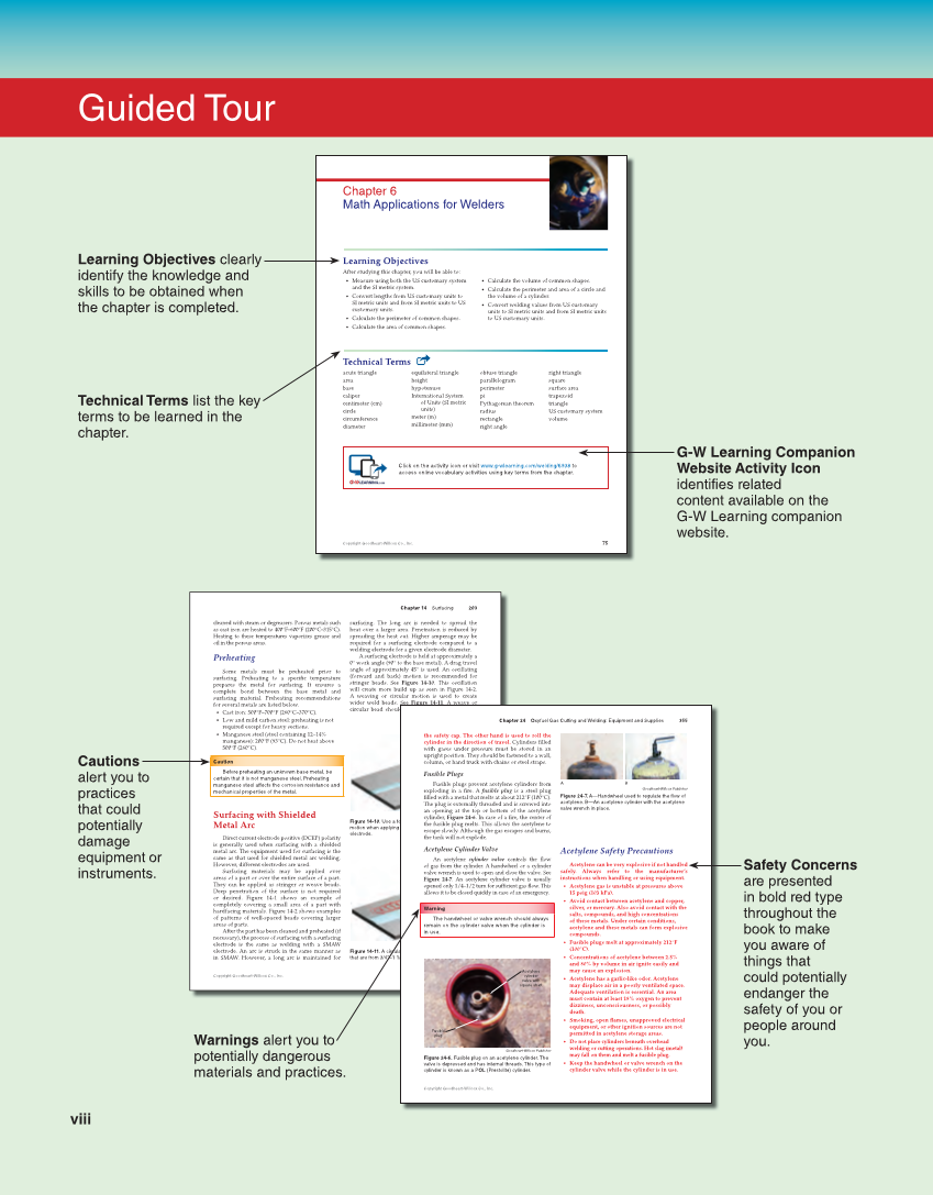 Welding Fundamentals 6e, Textbook page viii