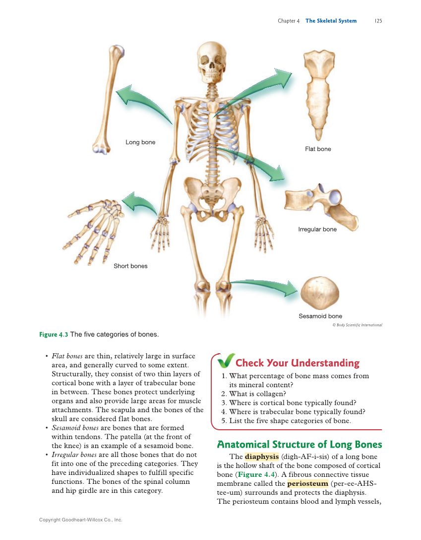 Introduction to Anatomy and Physiology, 2nd Edition page 125