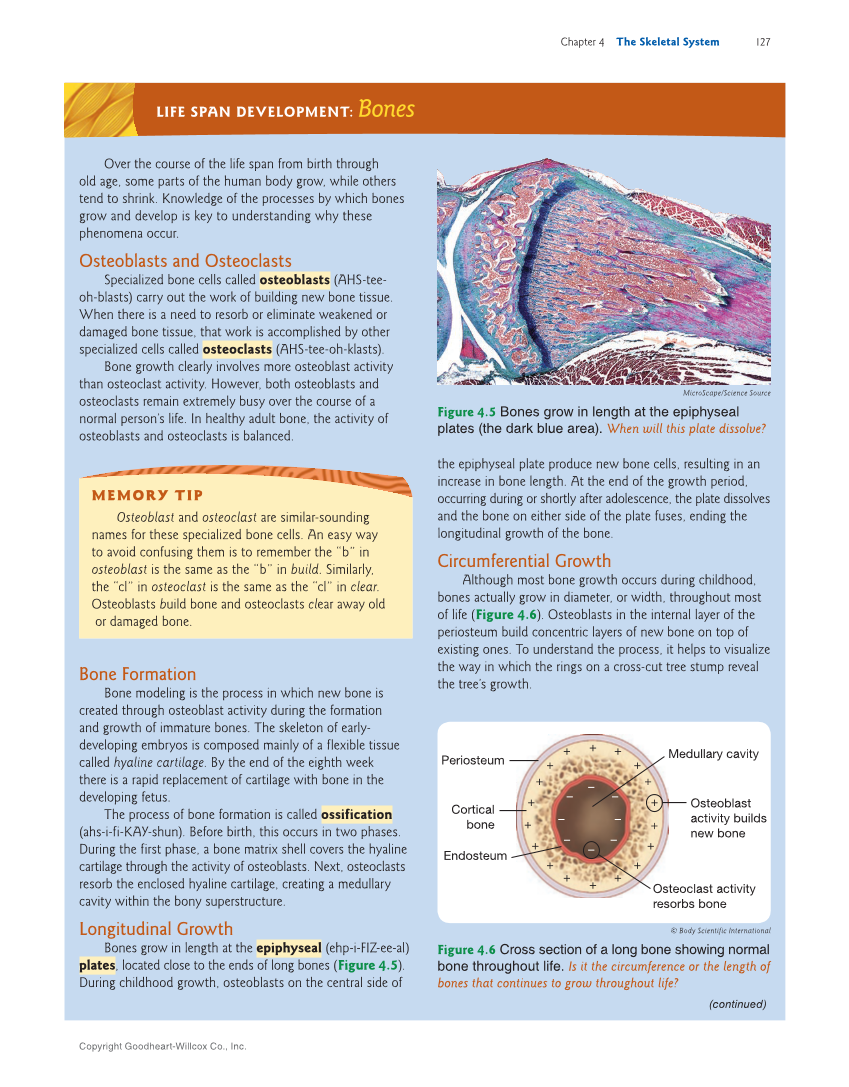 Introduction to Anatomy and Physiology, 2nd Edition page 127