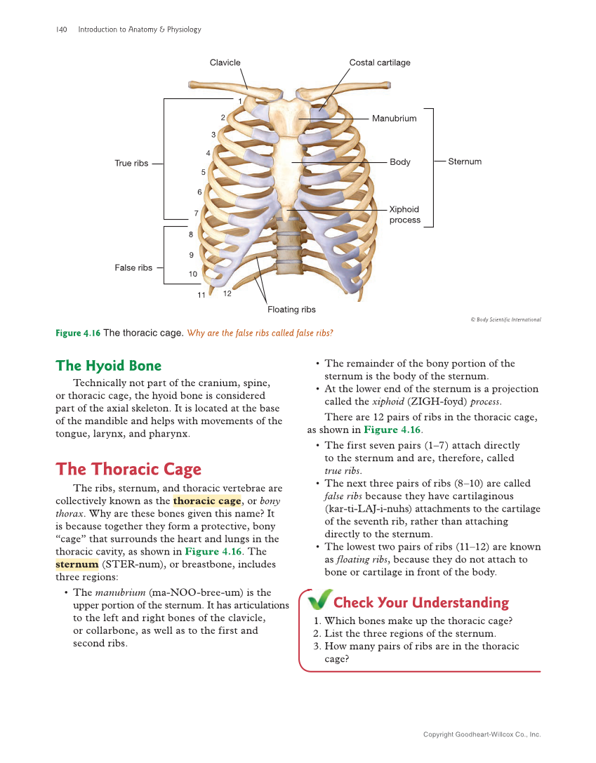 Introduction to Anatomy and Physiology, 2nd Edition page 140
