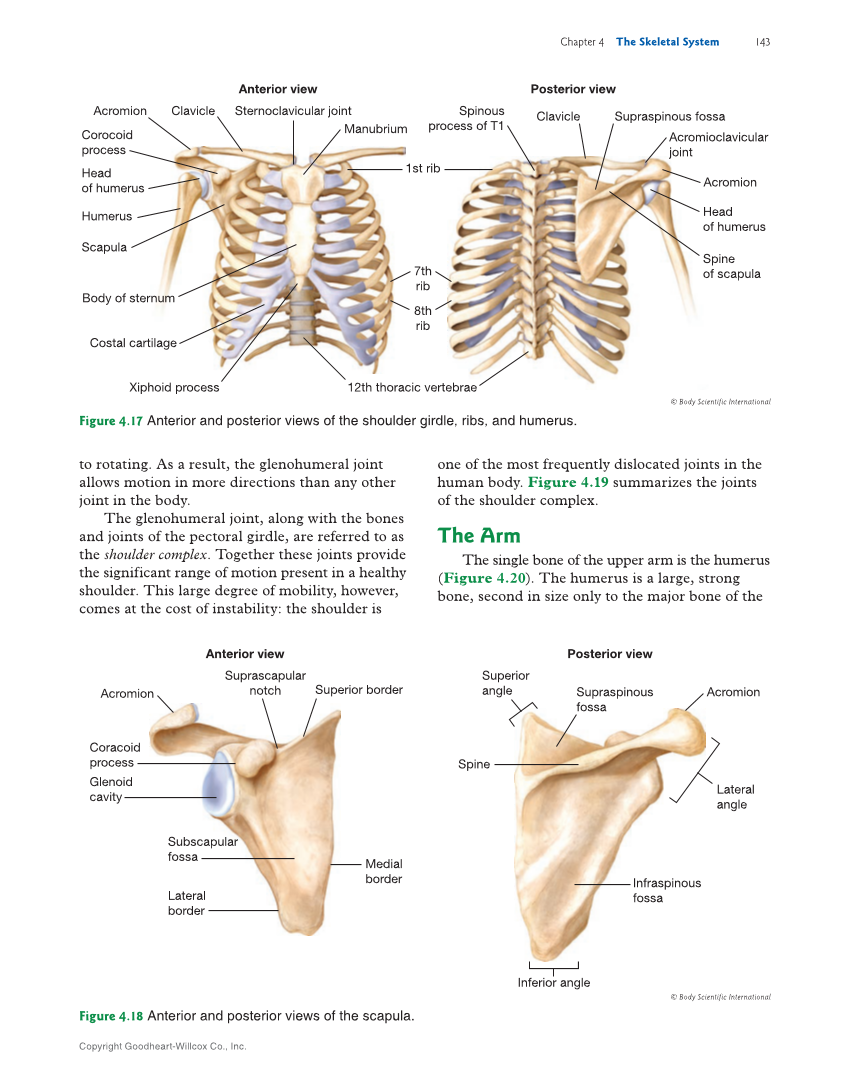Introduction to Anatomy and Physiology, 2nd Edition page 143