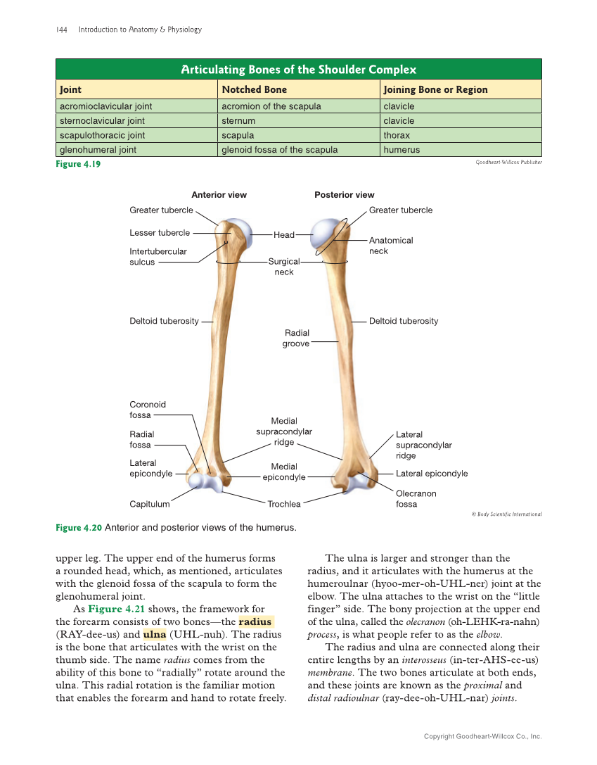 Introduction to Anatomy and Physiology, 2nd Edition page 144
