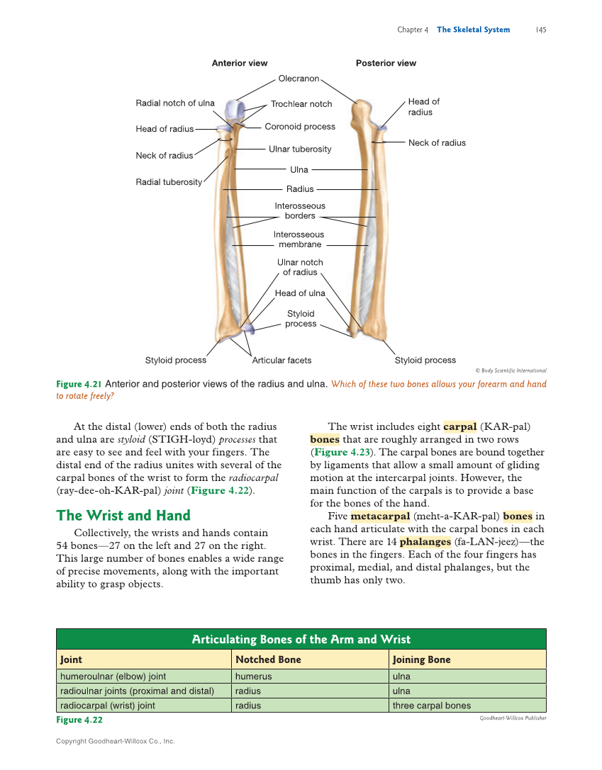 Introduction to Anatomy and Physiology, 2nd Edition page 145