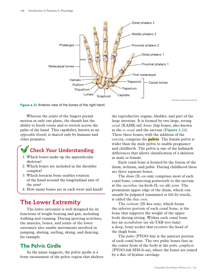Introduction to Anatomy and Physiology, 2nd Edition page 146