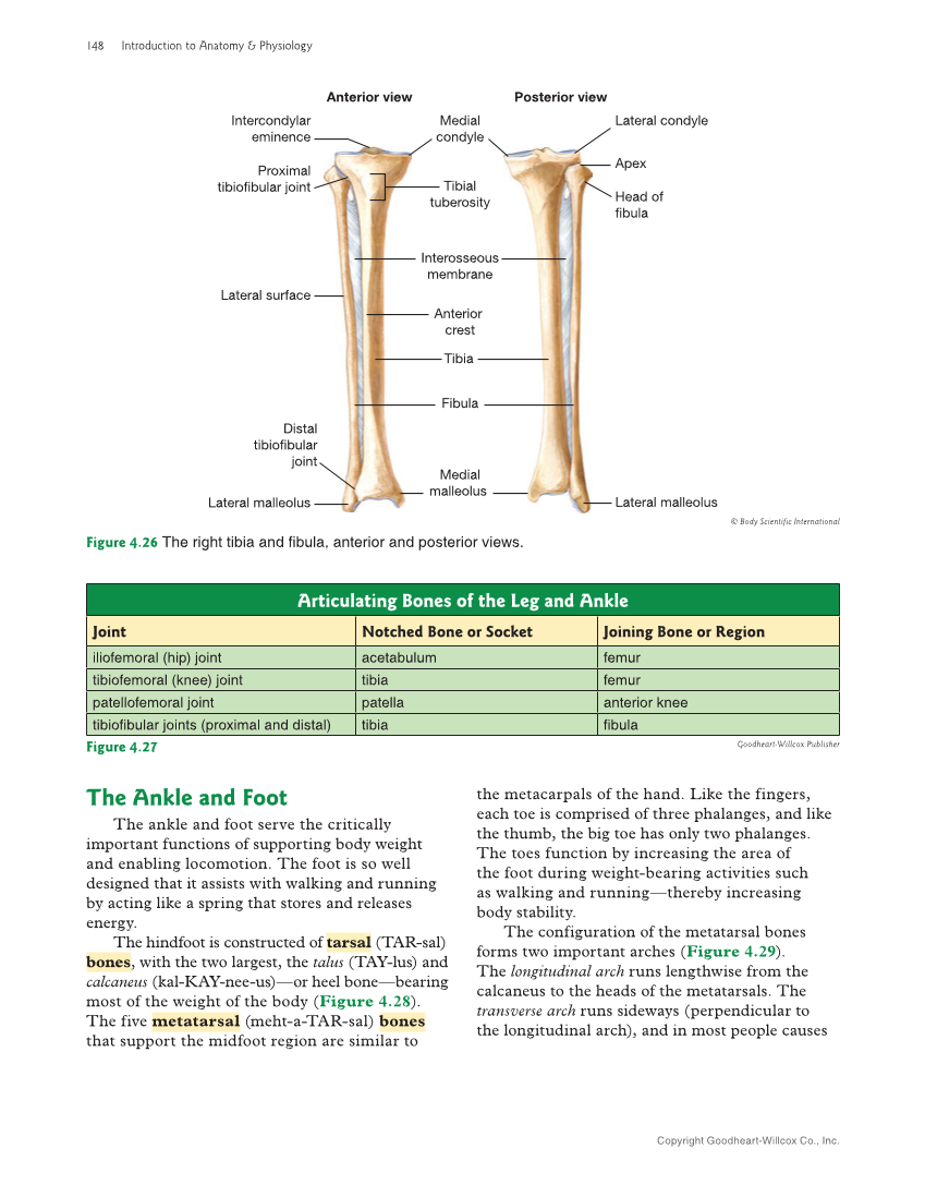 Introduction to Anatomy and Physiology, 2nd Edition page 148
