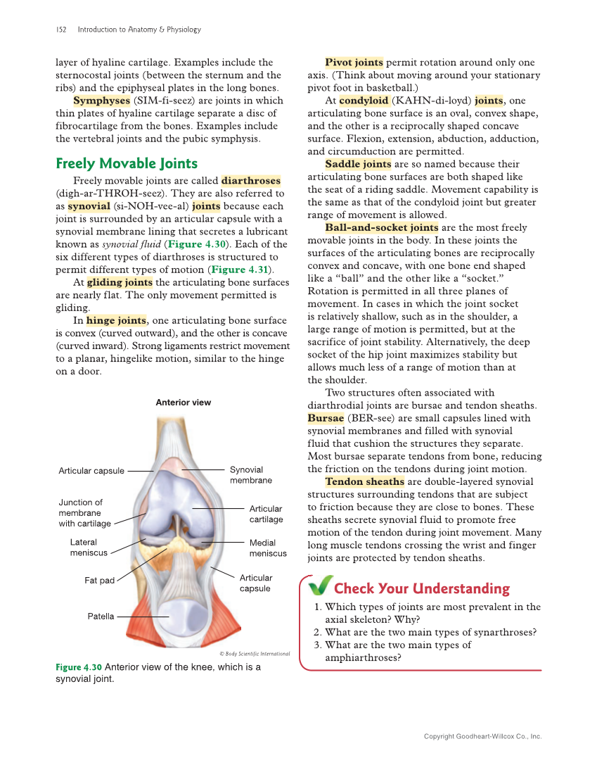Introduction to Anatomy and Physiology, 2nd Edition page 152