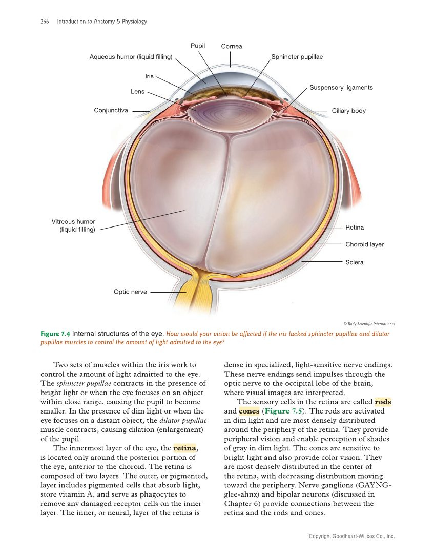 Introduction to Anatomy and Physiology, 2nd Edition page 266