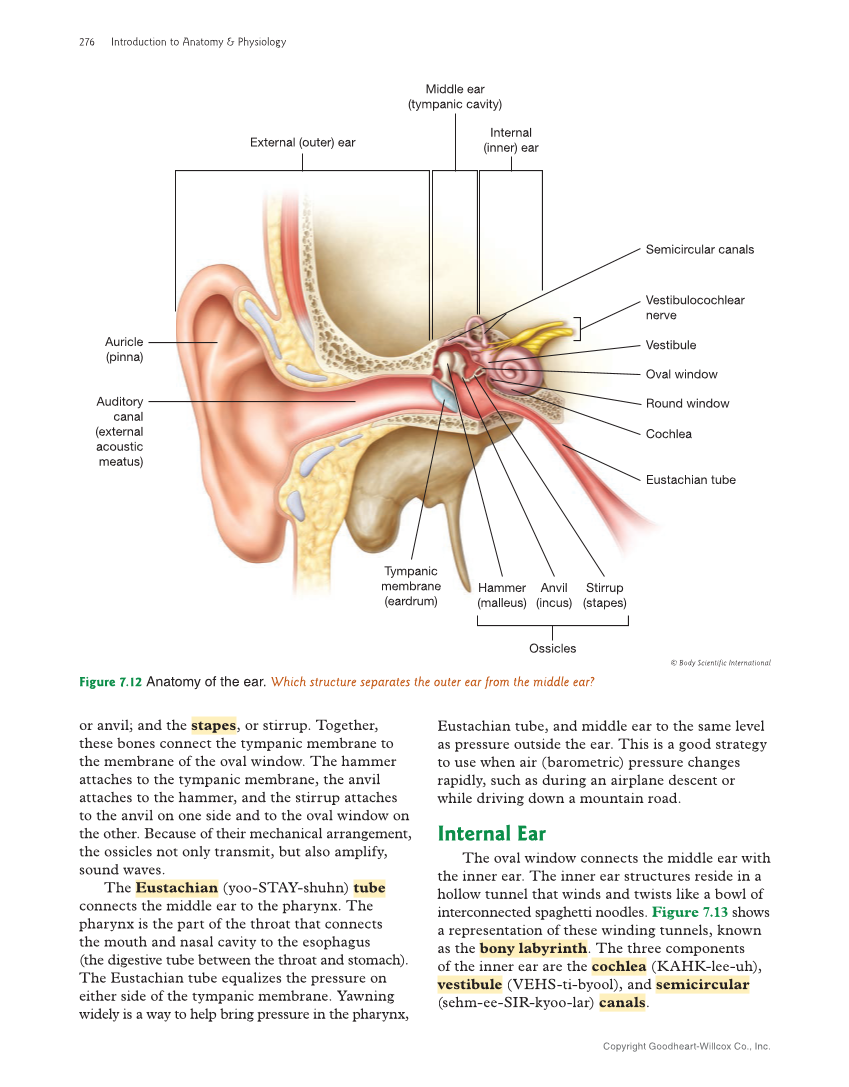 Introduction to Anatomy and Physiology, 2nd Edition page 276