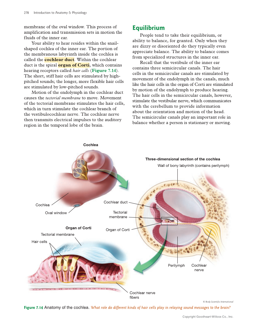 Introduction to Anatomy and Physiology, 2nd Edition page 278