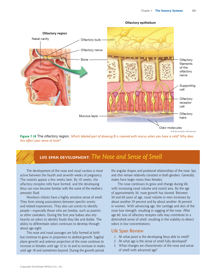 Introduction to Anatomy and Physiology, 2nd Edition page 285
