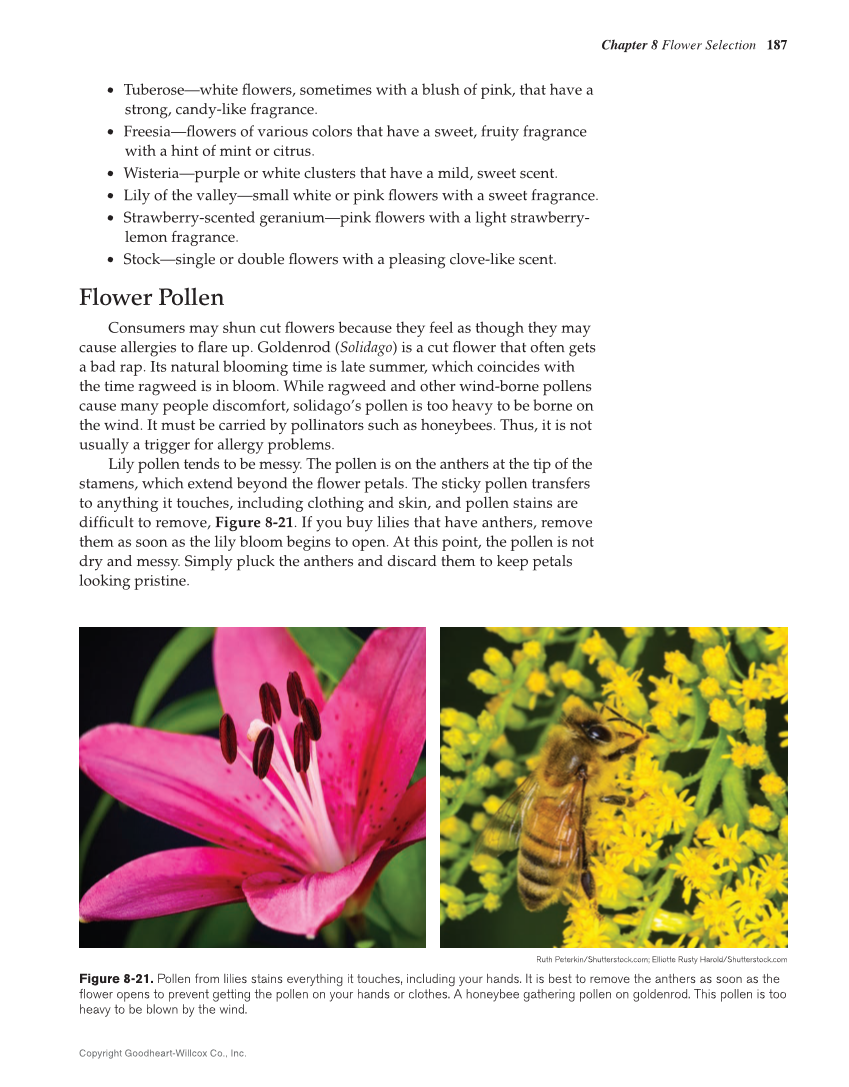 Principles of Floral Design: An Illustrated Guide, 2nd Edition page 187