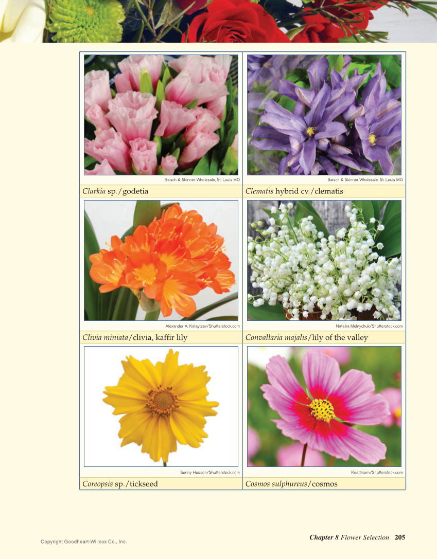 Principles of Floral Design: An Illustrated Guide, 2nd Edition page 205