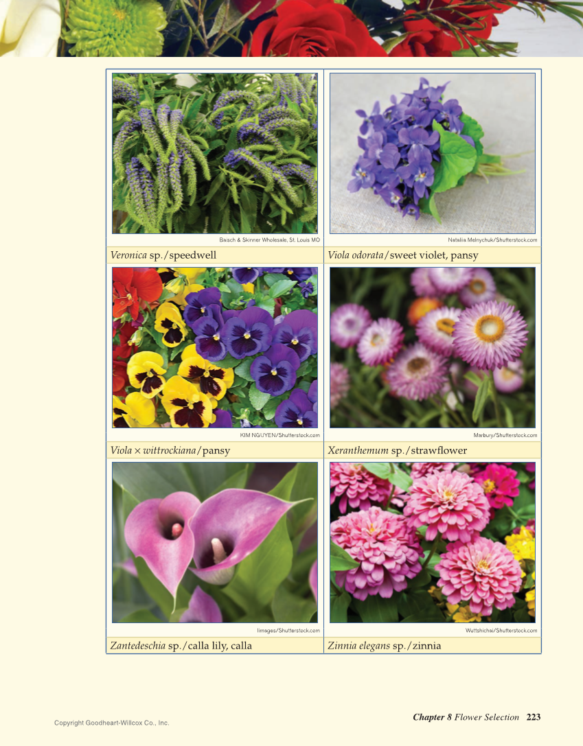 Principles of Floral Design: An Illustrated Guide, 2nd Edition page 223