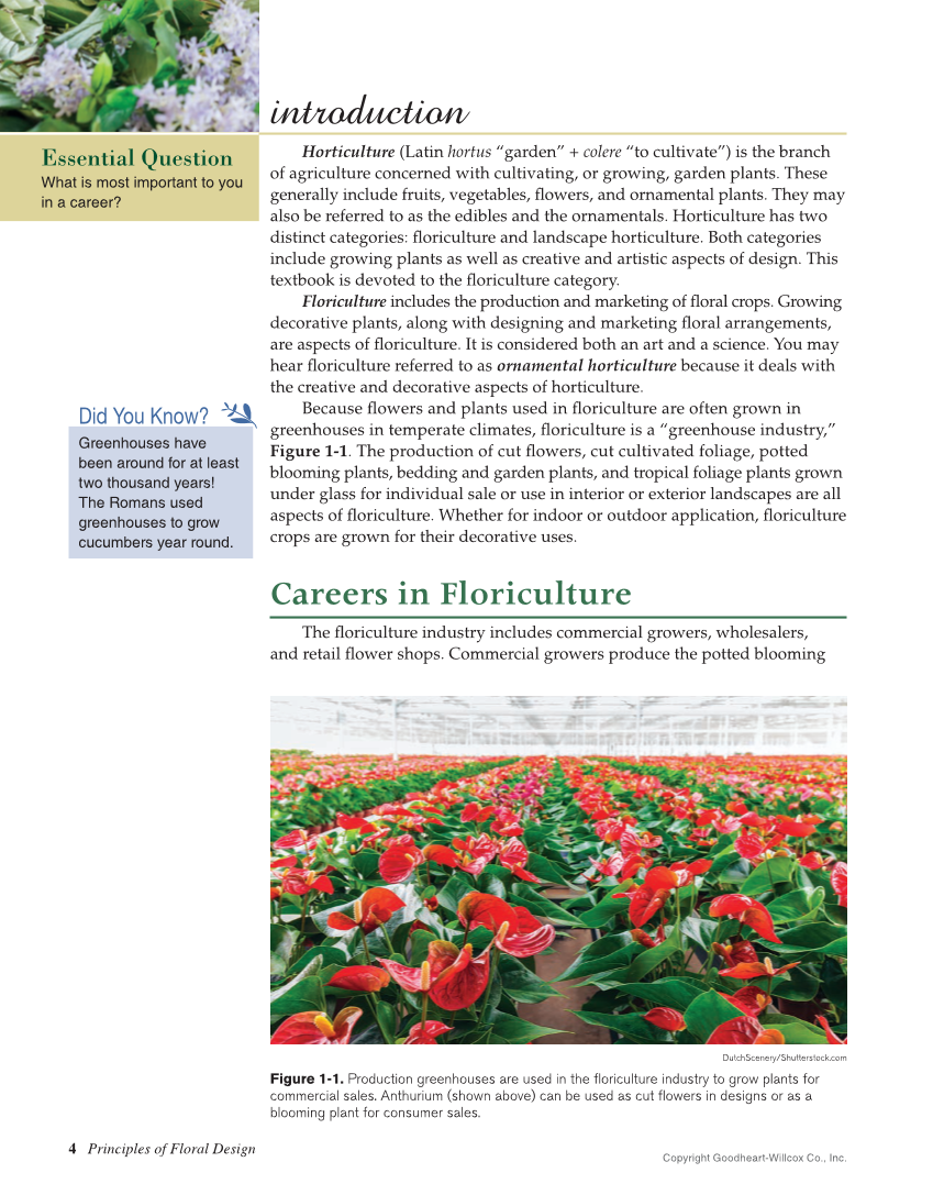 Principles of Floral Design: An Illustrated Guide, 2nd Edition page 4