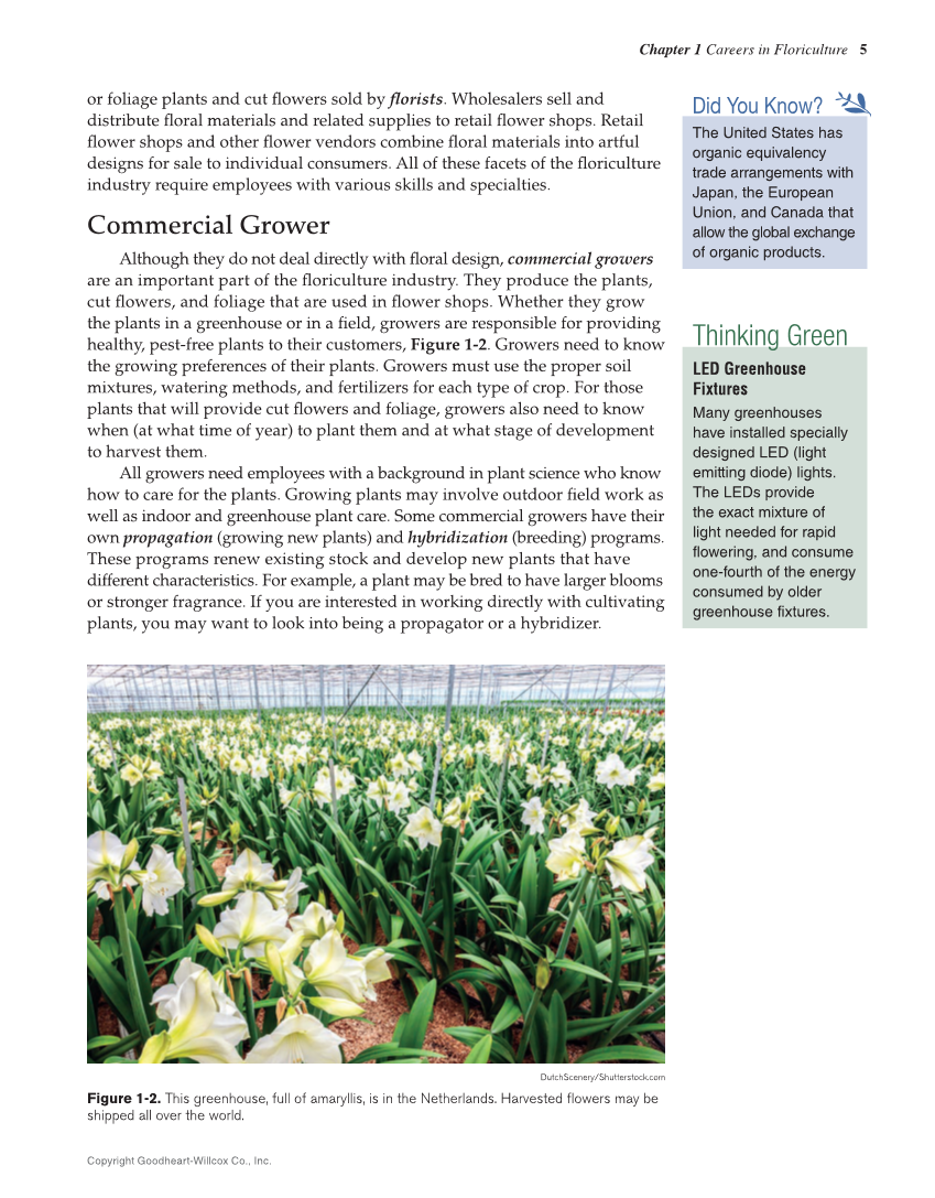 Principles of Floral Design: An Illustrated Guide, 2nd Edition page 5