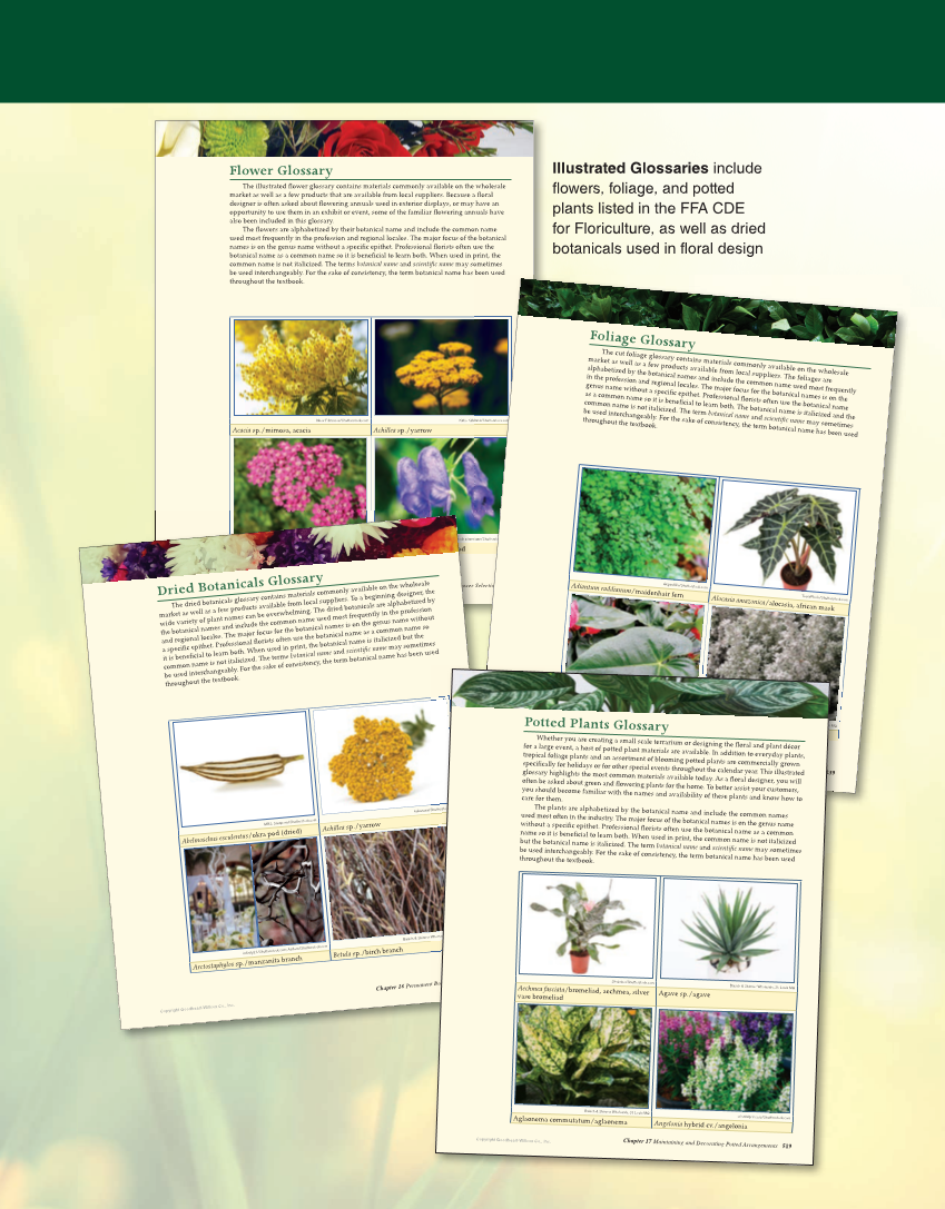 Principles of Floral Design: An Illustrated Guide, 2nd Edition page M5