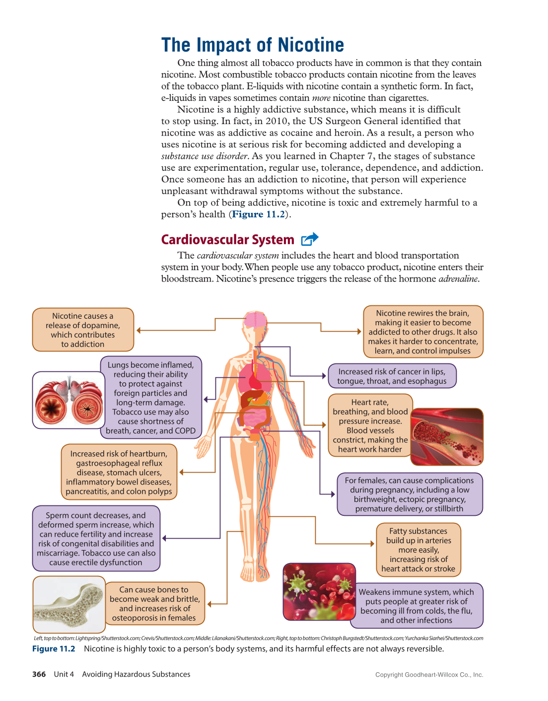 Comprehensive Health Skills 3e page 366