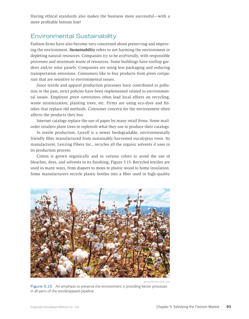 Fashion Marketing & Merchandising, 5th Edition page 93