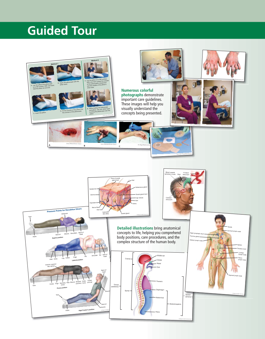 The Nursing Assistant: Essentials of Holistic Care, 1st Edition page M5