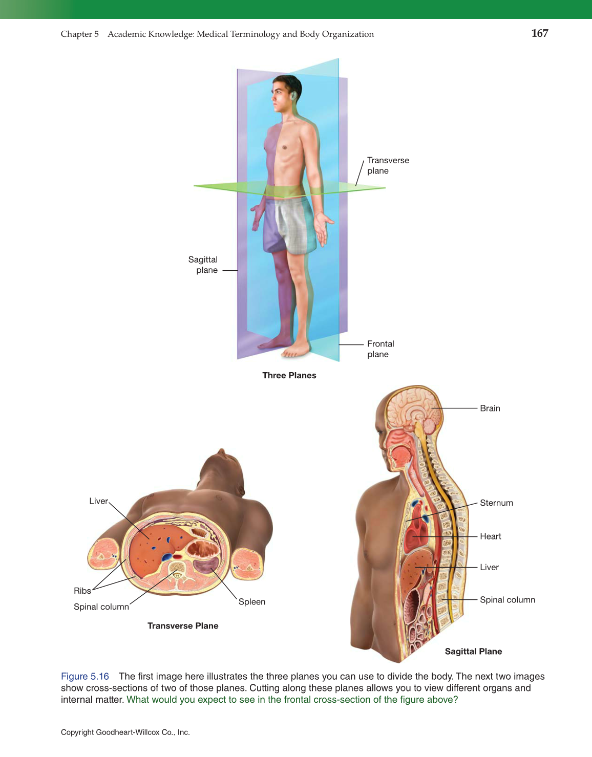 Introduction to Health Science: Pathways to Your Future, 1st Edition page 167