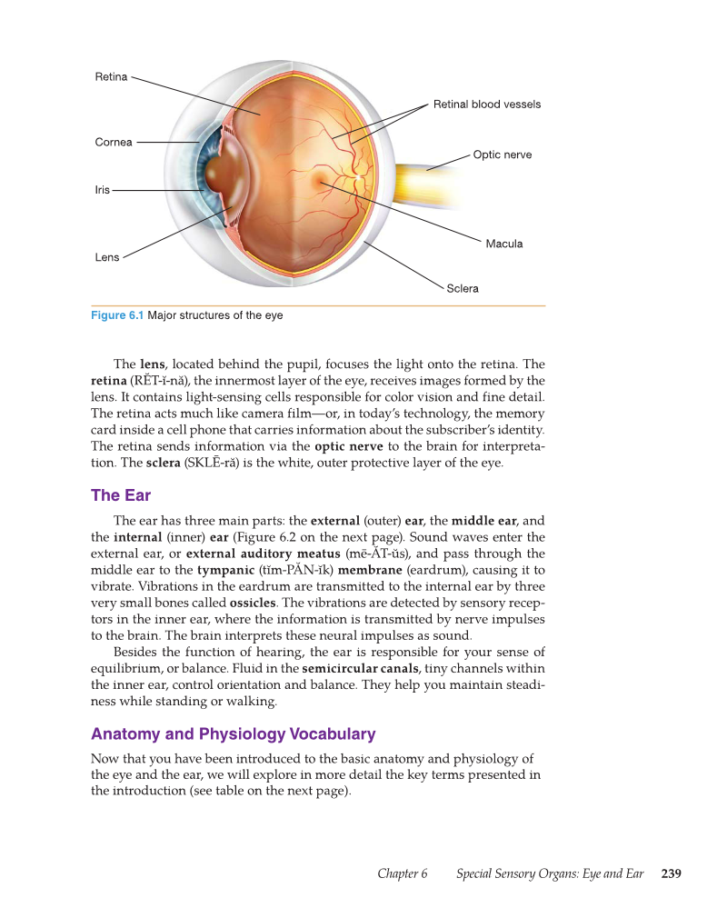 Medical Terminology: Mastering the Basics, 1st Edition page 239