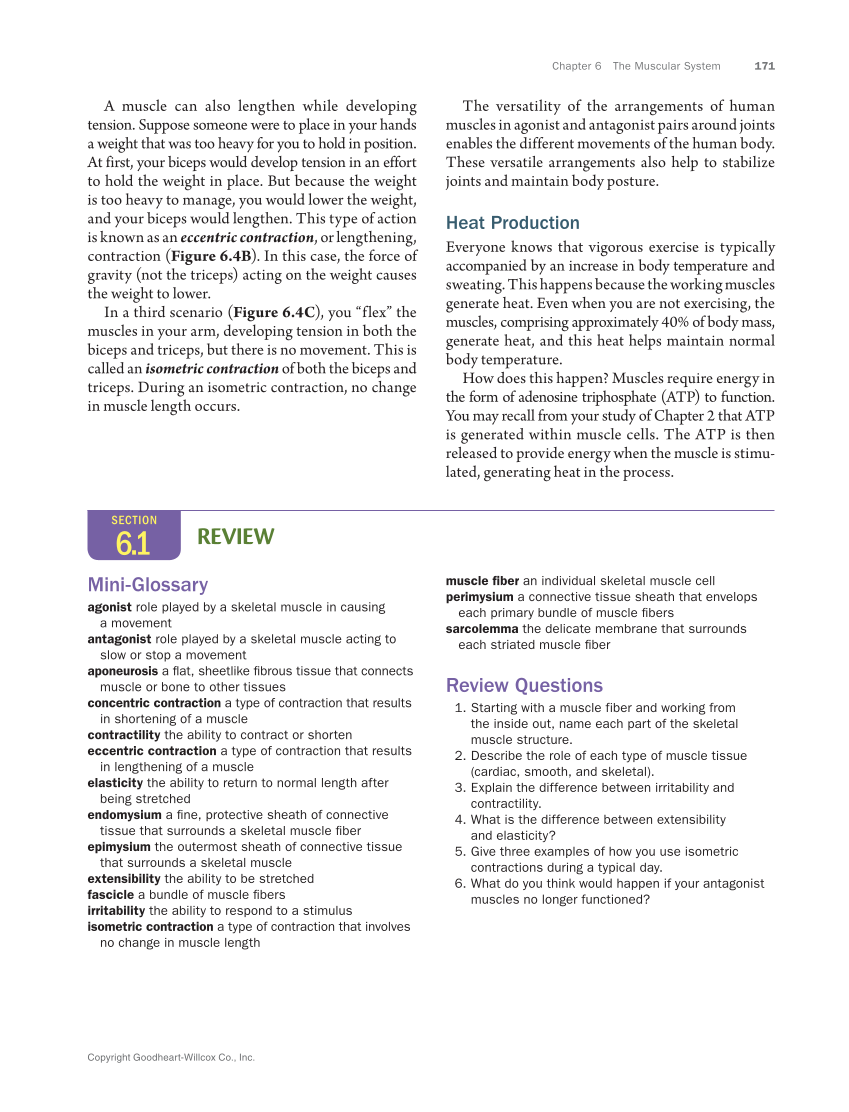 Anatomy & Physiology Essentials 2e, Textbook page 171