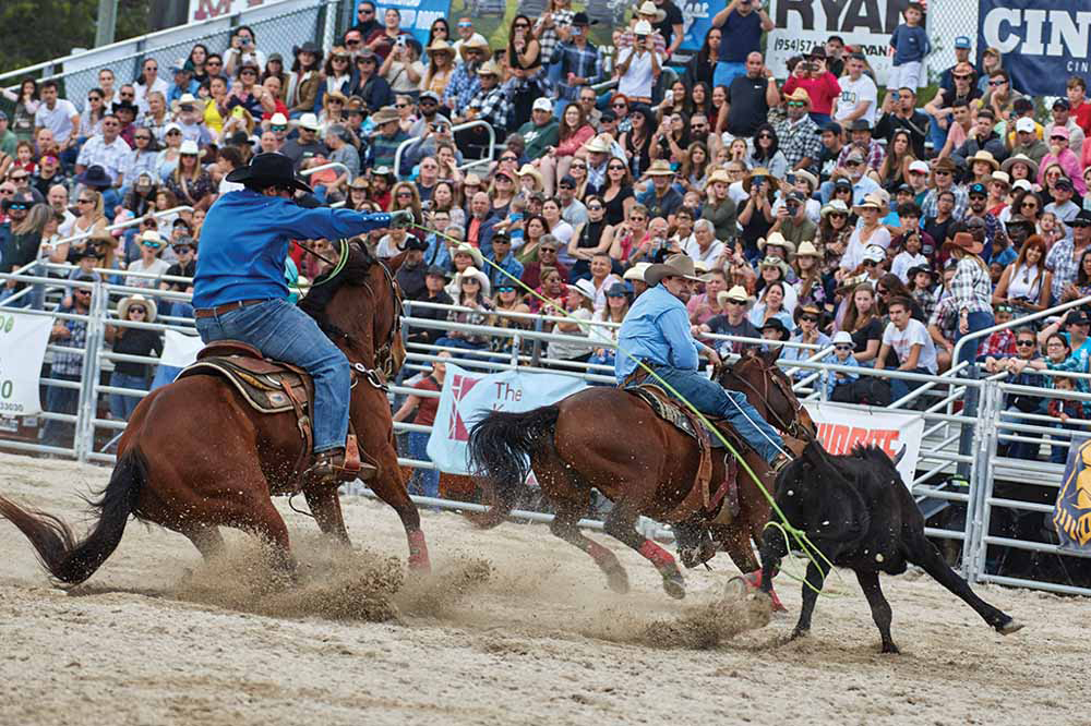 Cowhead Rodeo Tizra Reader